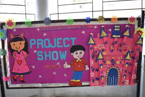 Primary Project Show