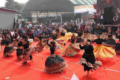 Winter-Carnival 2024 - Scintillating performance 