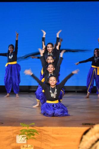 Spic Macay 2024 cultural dance